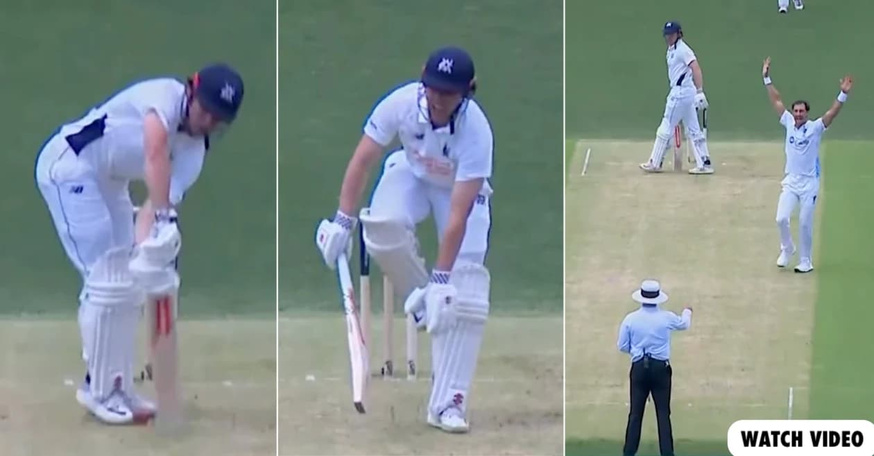 WATCH: Mitchell Starc bowls a toe-crushing to dismiss Harry Dixon in Sheffield Shield