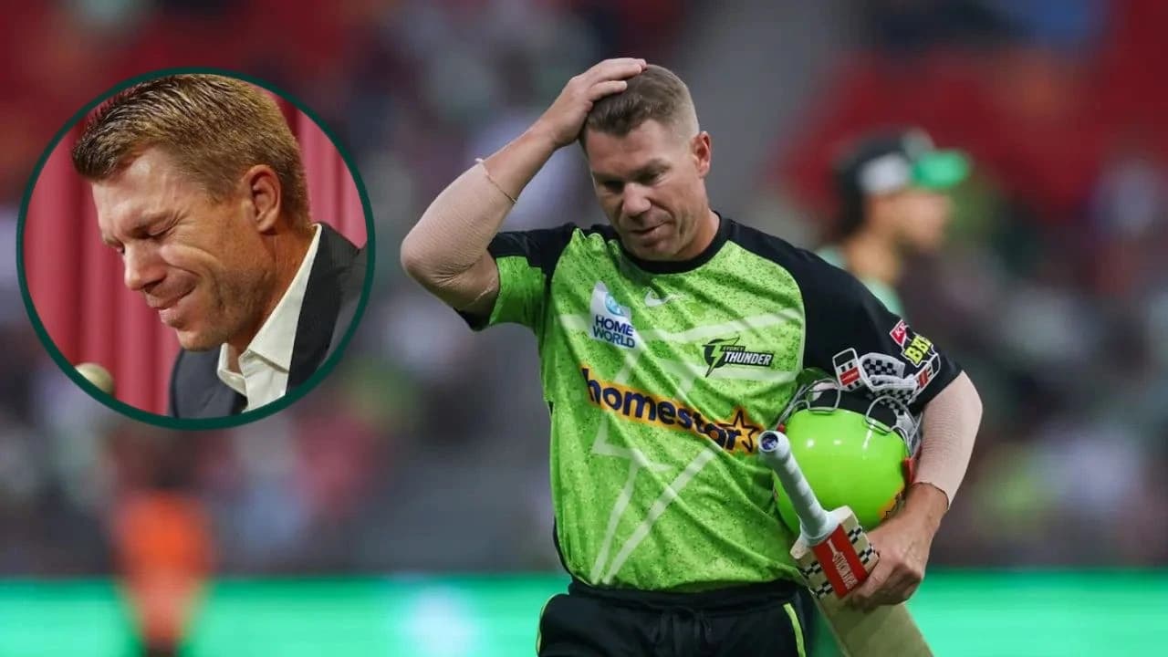 Star Australian batter David Warner to face jail time after he pleads guilty in Sydney high court over drink-driving charge